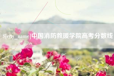北流中国消防救援学院高考分数线