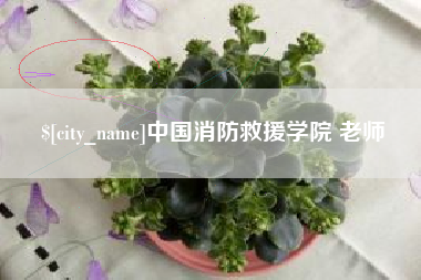 北流中国消防救援学院 老师