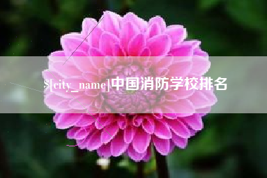 北流中国消防学校排名