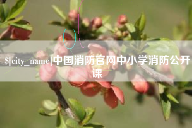 北流中国消防官网中小学消防公开课