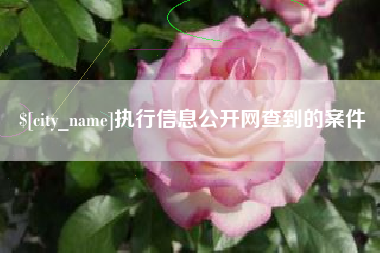 北流执行信息公开网查到的案件
