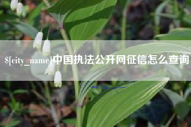 北流中国执法公开网征信怎么查询