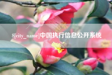 北流中国执行信息公开系统