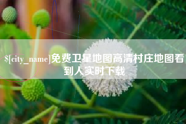 北流免费卫星地图高清村庄地图看到人实时下载