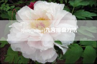 北流九宫排盘方法