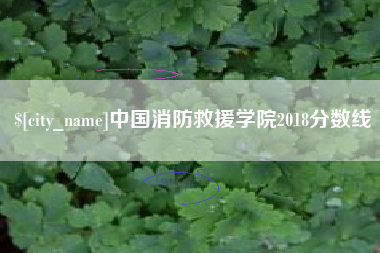 北流中国消防救援学院2018分数线