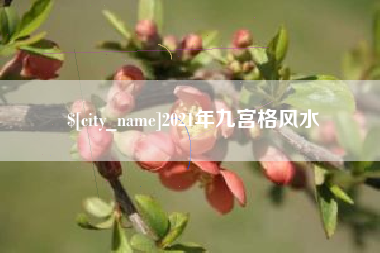 北流2021年九宫格风水