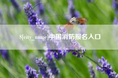 北流中国消防报名入口