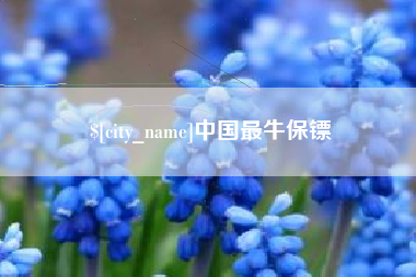 北流中国最牛保镖