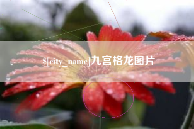 北流九宫格龙图片