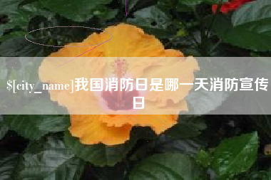 北流我国消防日是哪一天消防宣传日