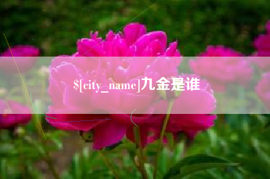 北流九金是谁