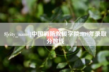 北流中国消防救援学院2019年录取分数线