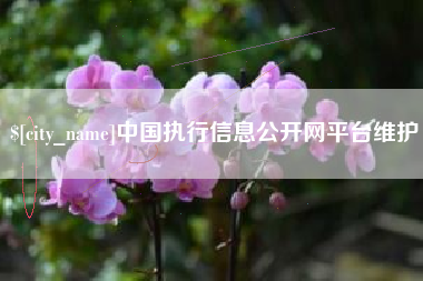 北流中国执行信息公开网平台维护