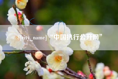 北流“中国执行公开网”