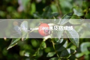 北流5000米及格成绩