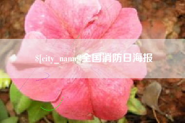 北流全国消防日海报
