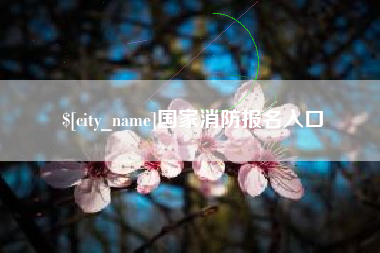北流国家消防报名入口