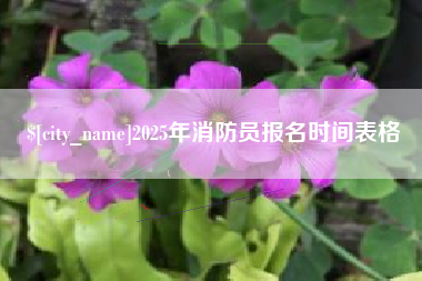 北流2025年消防员报名时间表格
