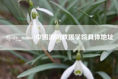 北流中国消防救援学院具体地址
