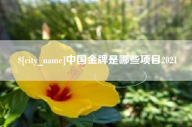 北流中国金牌是哪些项目2021