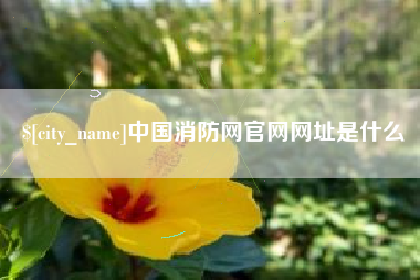 北流中国消防网官网网址是什么