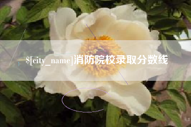 北流消防院校录取分数线