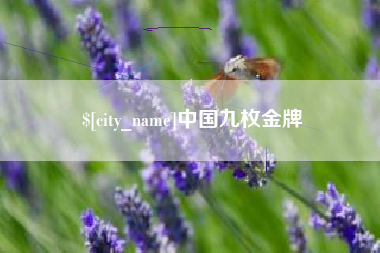 北流中国九枚金牌