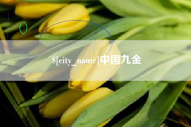 北流中国九金