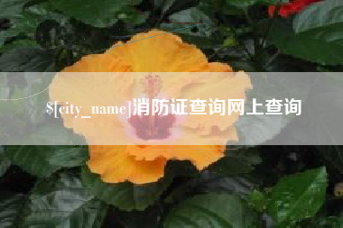 北流消防证查询网上查询