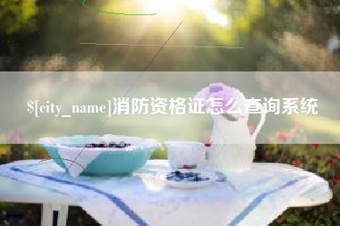 北流消防资格证怎么查询系统