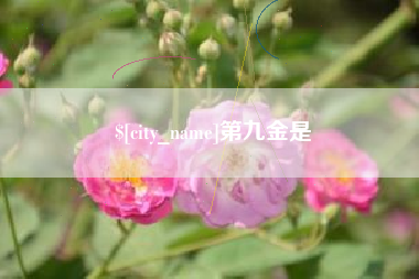 北流第九金是