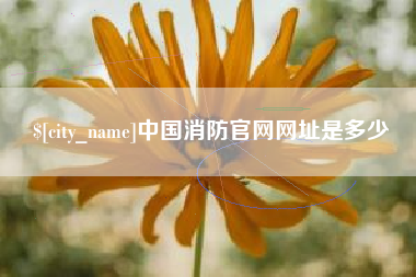 北流中国消防官网网址是多少
