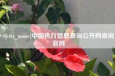 北流中国执行信息查询公开网查询官网