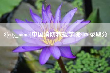北流中国消防救援学院2020录取分