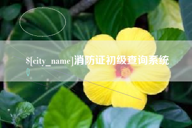 北流消防证初级查询系统