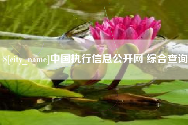 北流中国执行信息公开网 综合查询