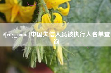 北流中国失信人员被执行人名单查询