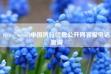 北流中国执行信息公开网客服电话查询
