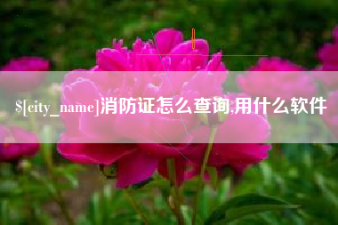 北流消防证怎么查询,用什么软件