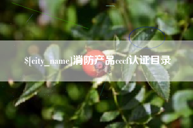 北流消防产品cccf认证目录
