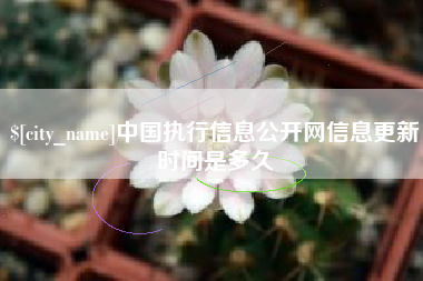 北流中国执行信息公开网信息更新时间是多久