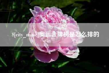 北流奥运金牌榜是怎么排的