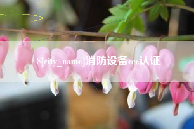 北流消防设备ccc认证