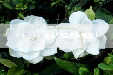 北流现在中国金牌是多少