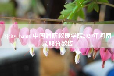 北流中国消防救援学院2020年河南录取分数线