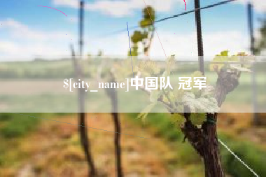 北流中国队 冠军