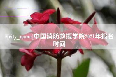 北流中国消防救援学院2021年报名时间