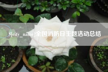 北流全国消防日主题活动总结