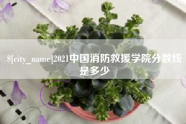北流2021中国消防救援学院分数线是多少